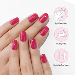 Raspberry Pink