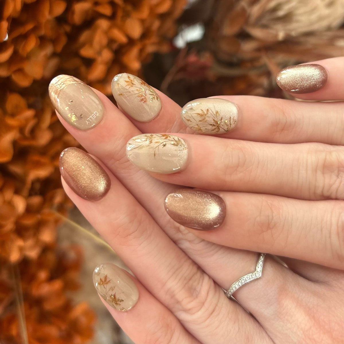 Maple Light Gold Cat Eye Press On Nails