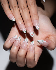 Holly Lace